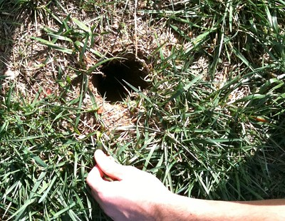 A Modified Definition of Police Violence